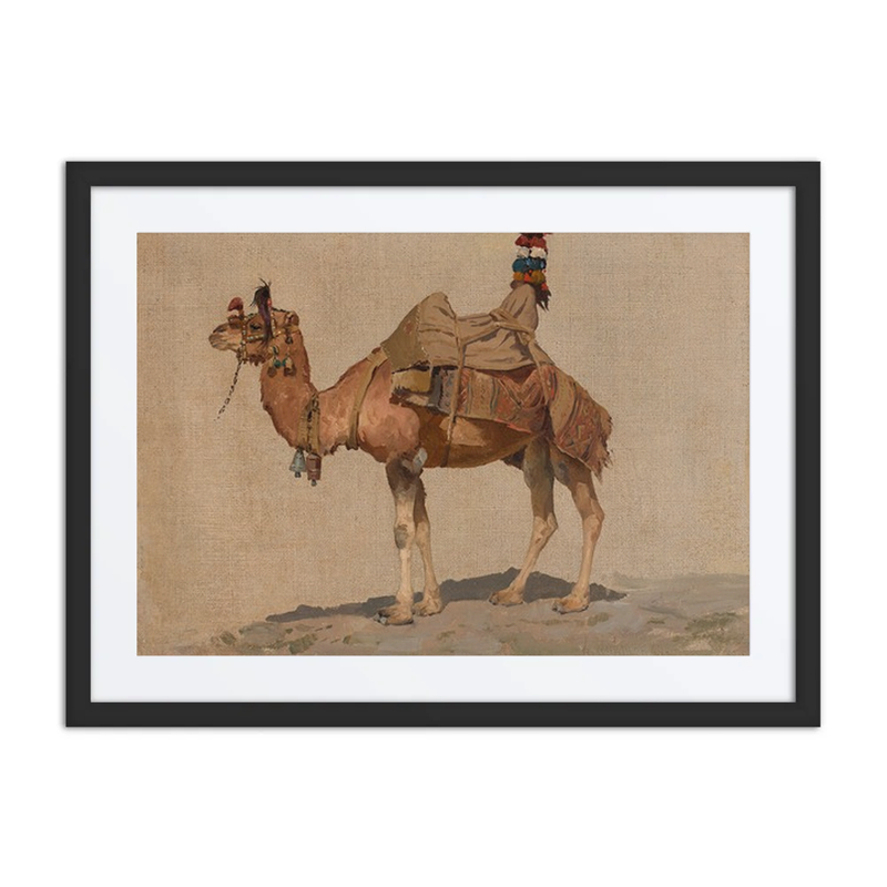 Study of a Camel