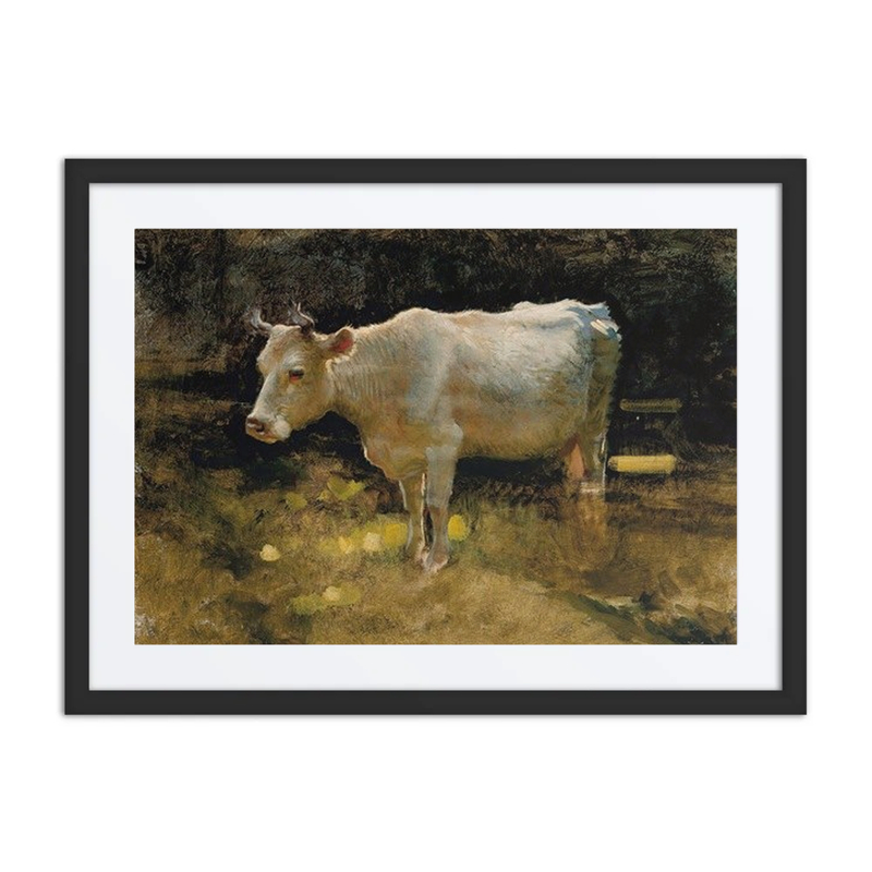 Study of a Cow