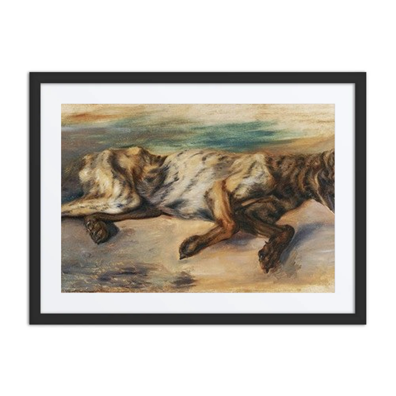 Study of a Dead Dog