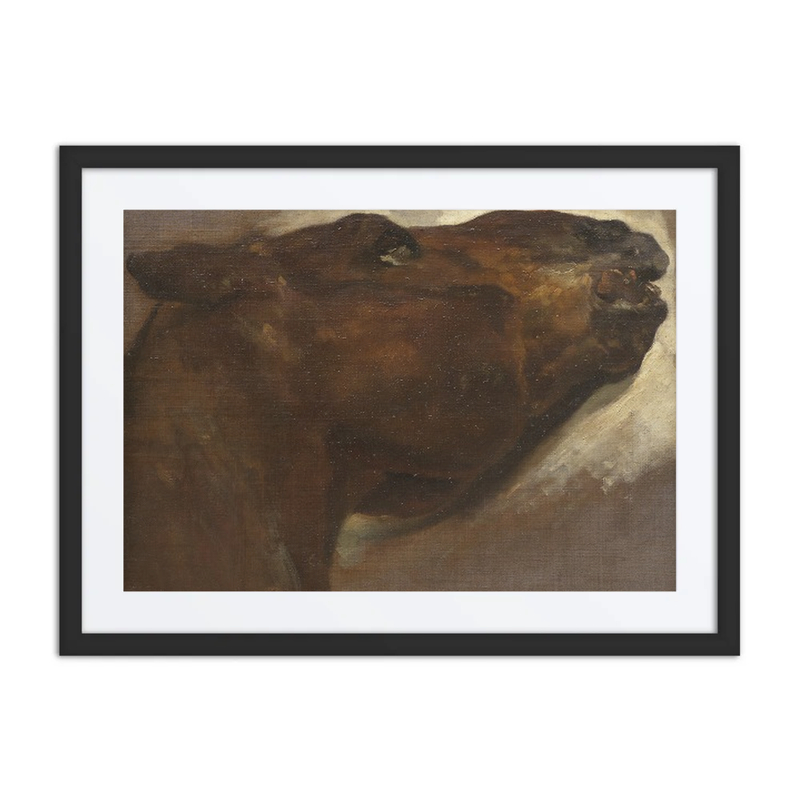Study of a Dead Horse