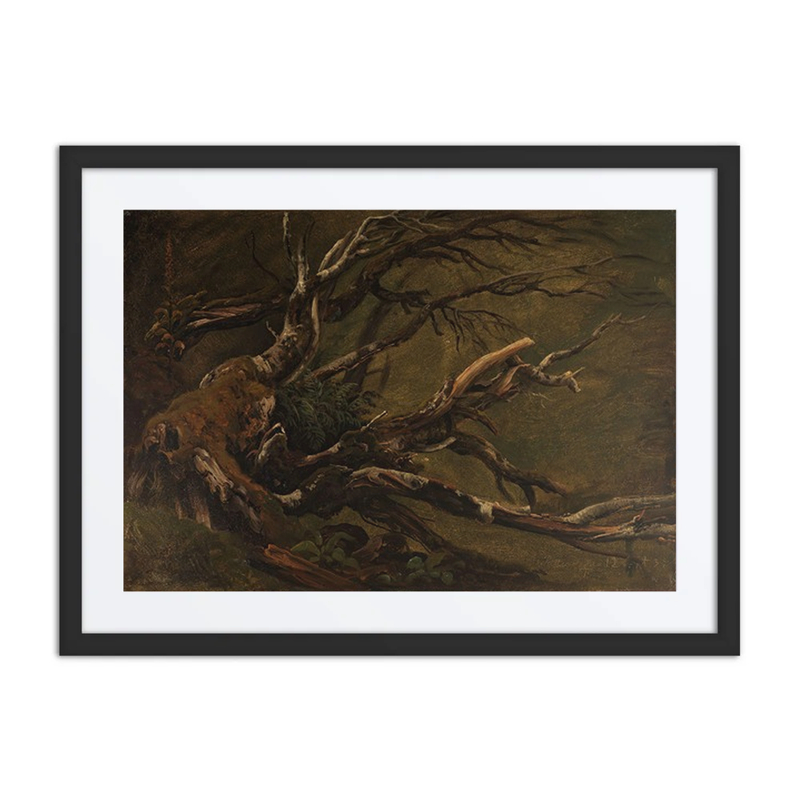Study of a Decaying Tree
