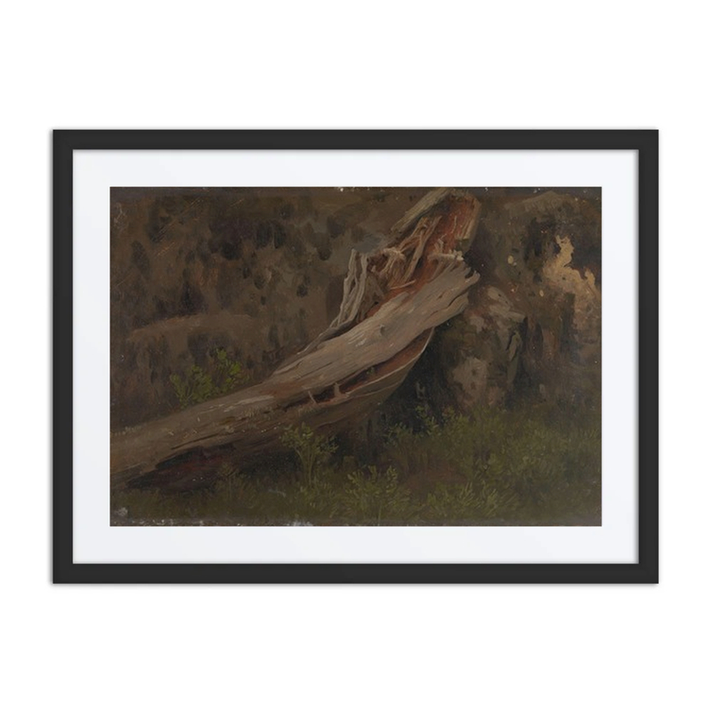 Study of a Decaying Trunk
