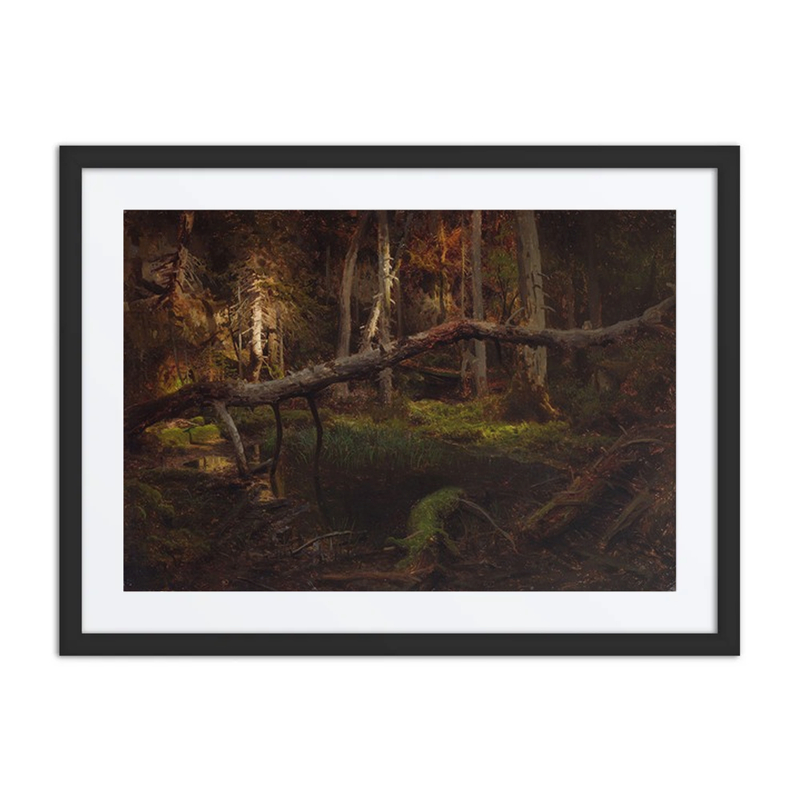 Study of a Decaying Wood