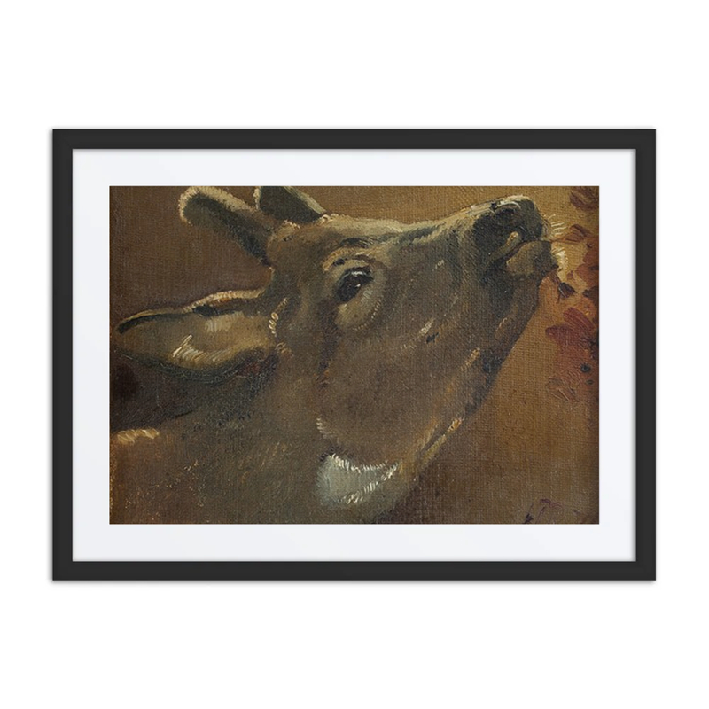 Study of a Deer