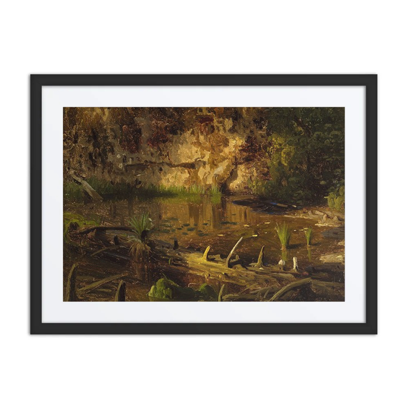 Study of a Fallen Tree