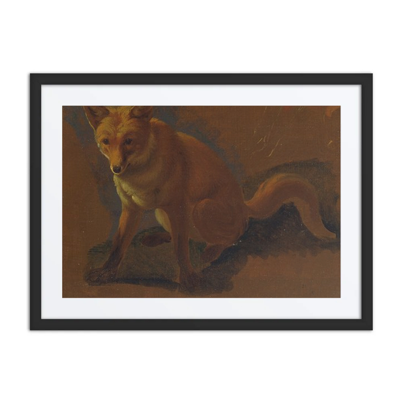 Study of a Fox