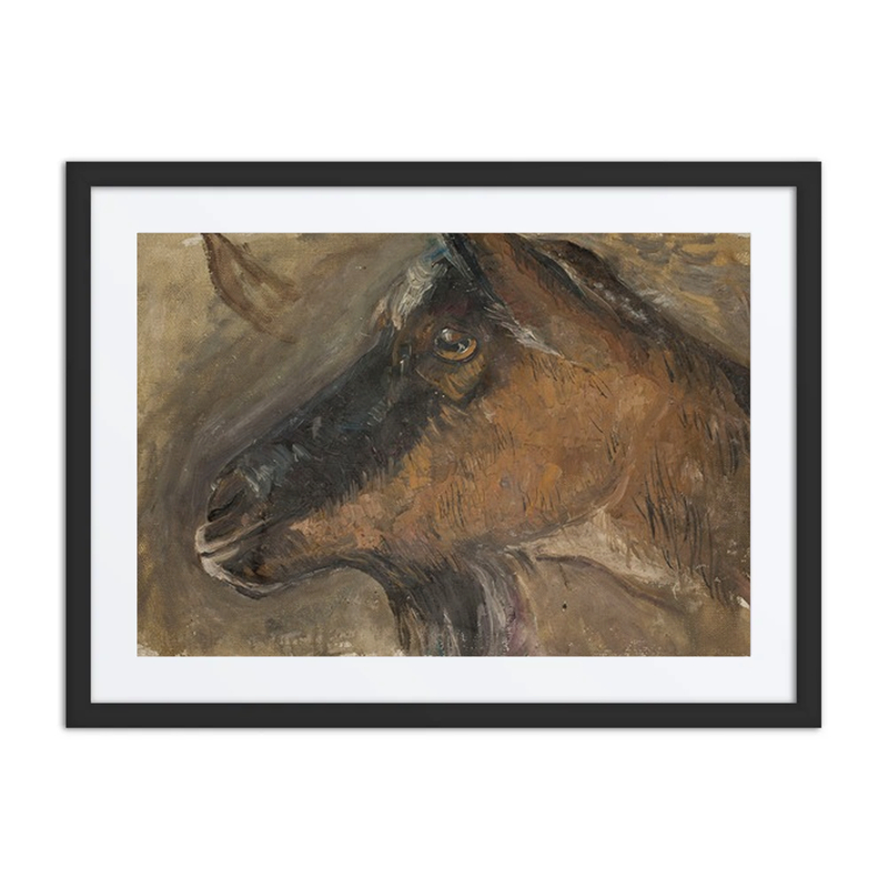 Study of a goat’s Head