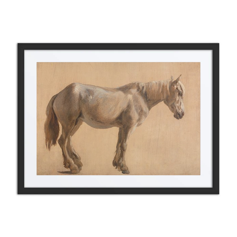 Study of a Grey Horse