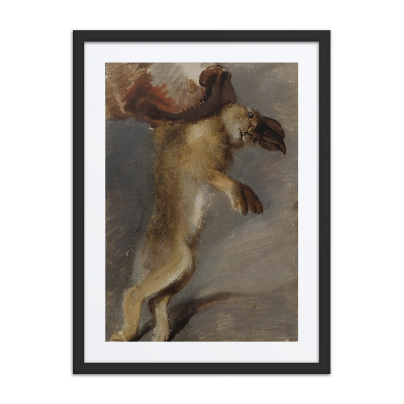 Study of a Hare