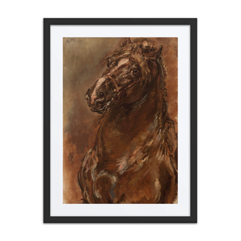 Study of a horse’s Head