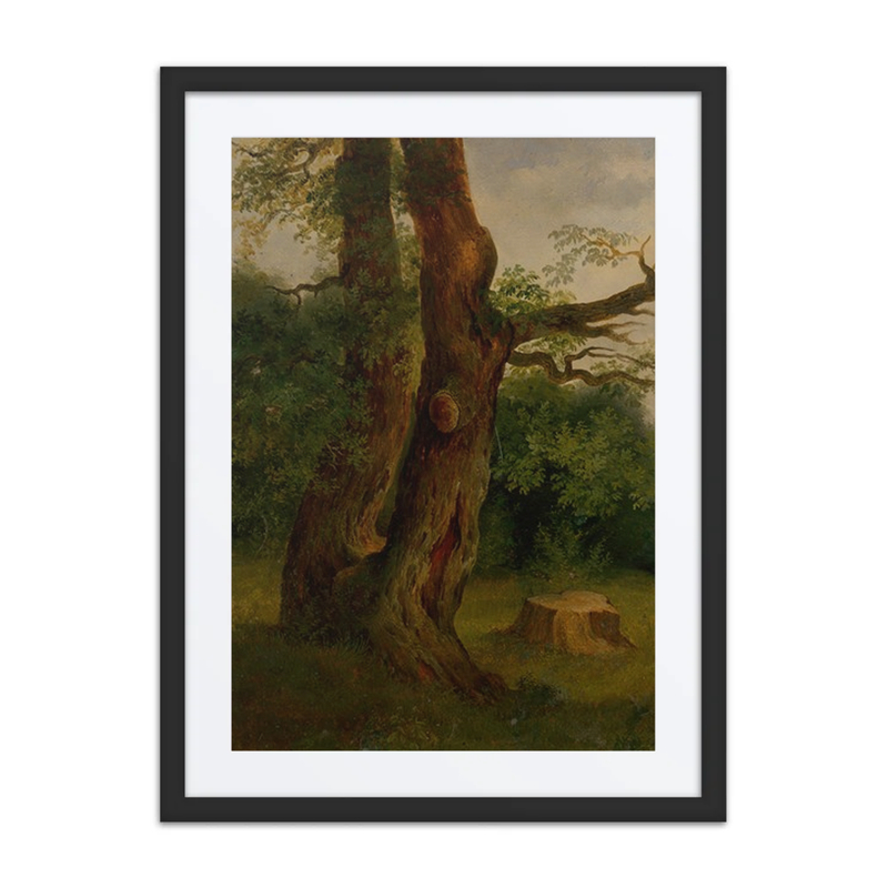 Study of a Leafy Tree