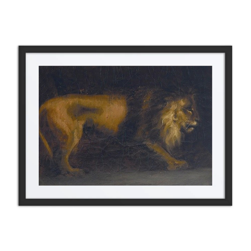 Study of a Lion