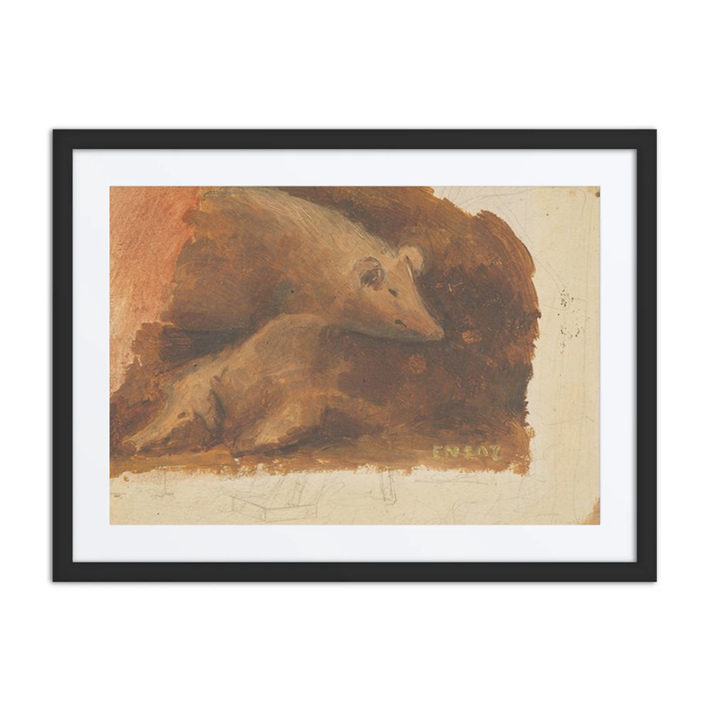 Study of a Pig
