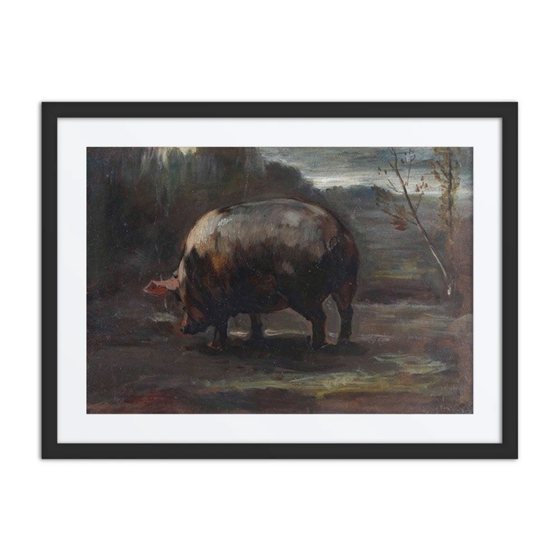 Study of a Piglet