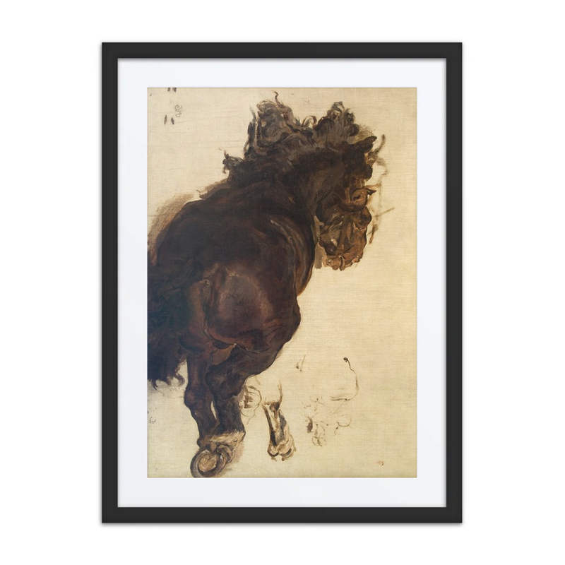 Study of a Reclining Horse