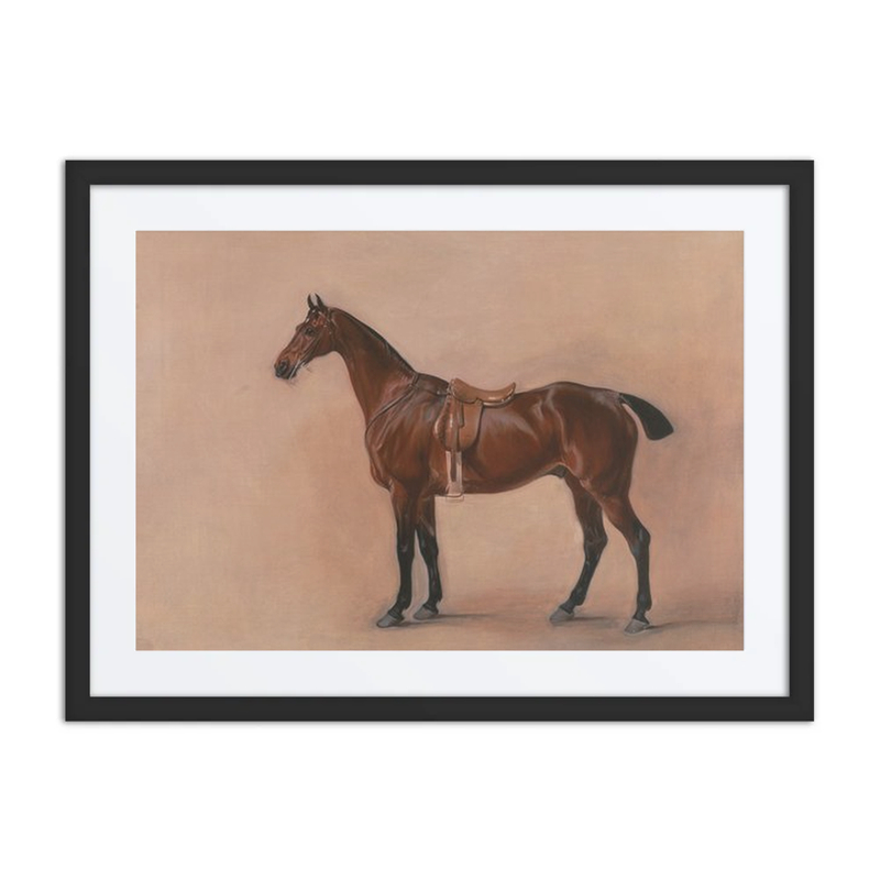 Study of a Saddled Bay Hunter