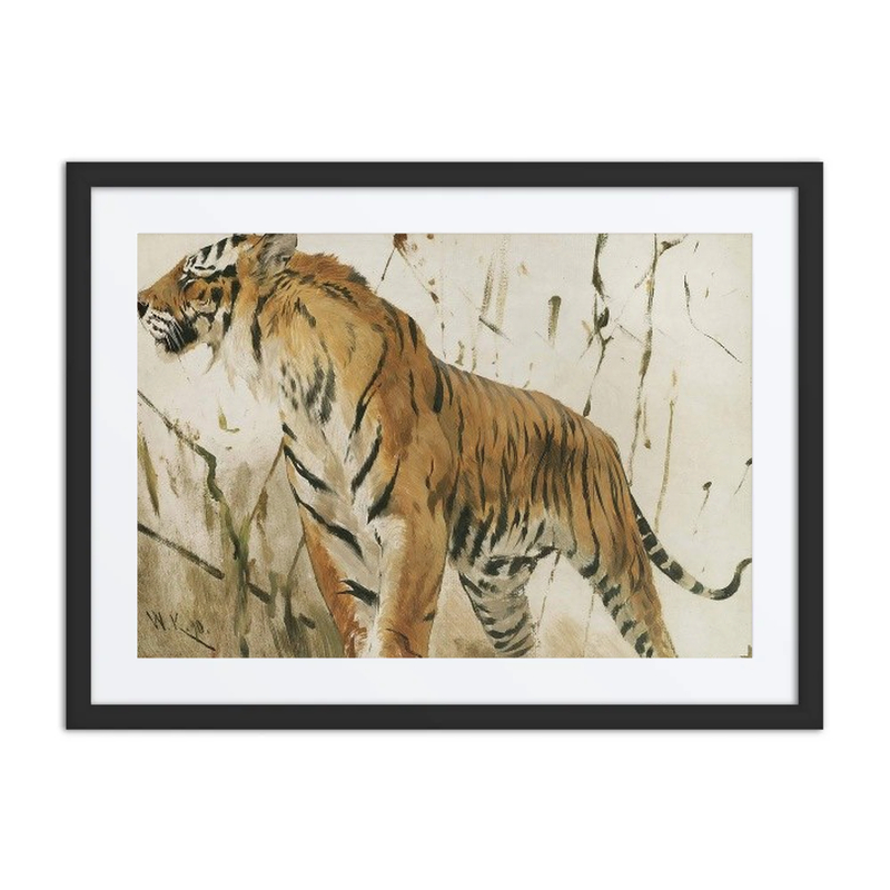 Study of a Tiger