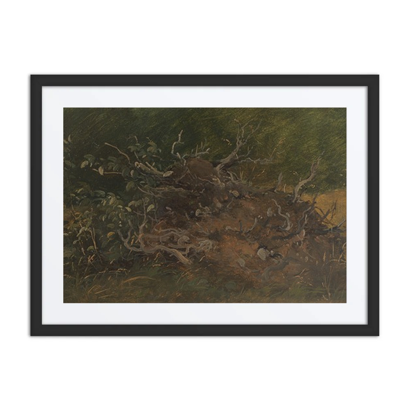 Study of a Tree Stump