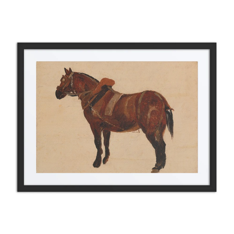 Study of a Working Horse