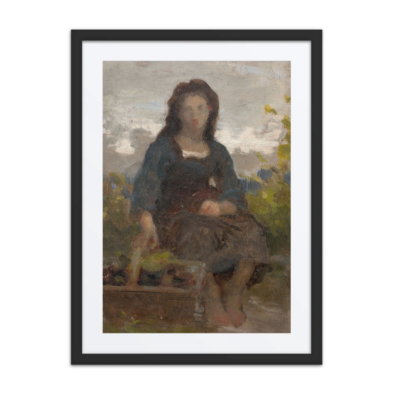 Study of a Young Grape Harvester