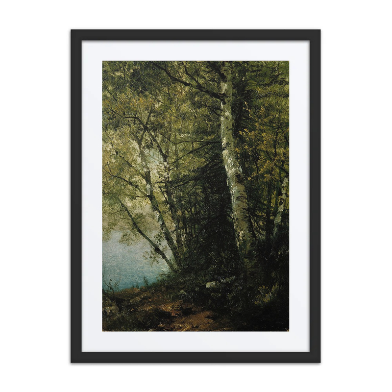 Study of Beeches