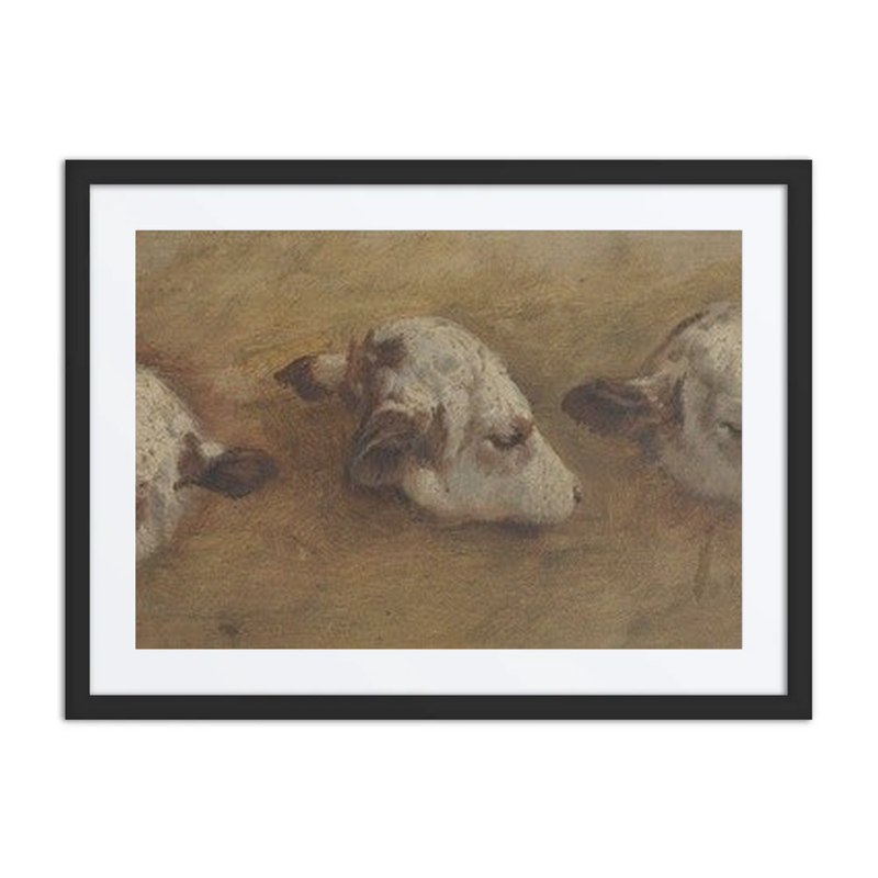 Study of Calfheads