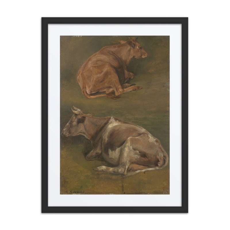 Study of Cows