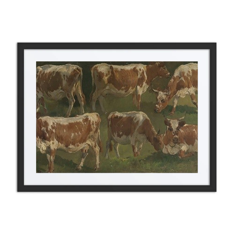 Study of Cows