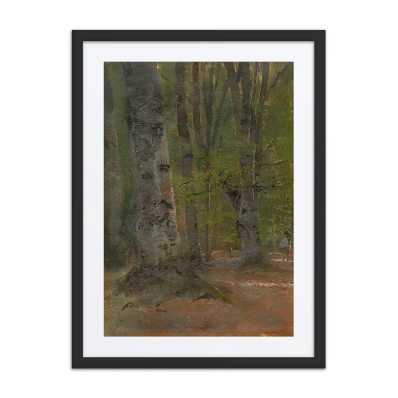 Study of Forest Interior