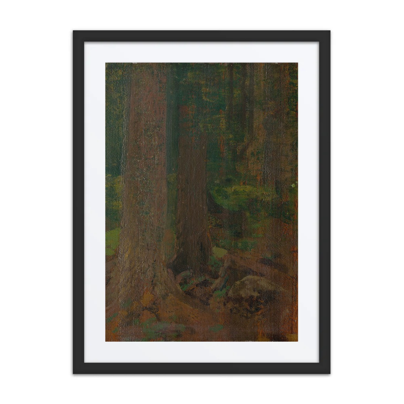 Study of Forest