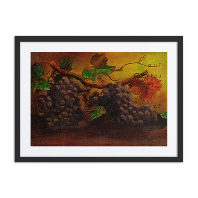 Study of Grapes