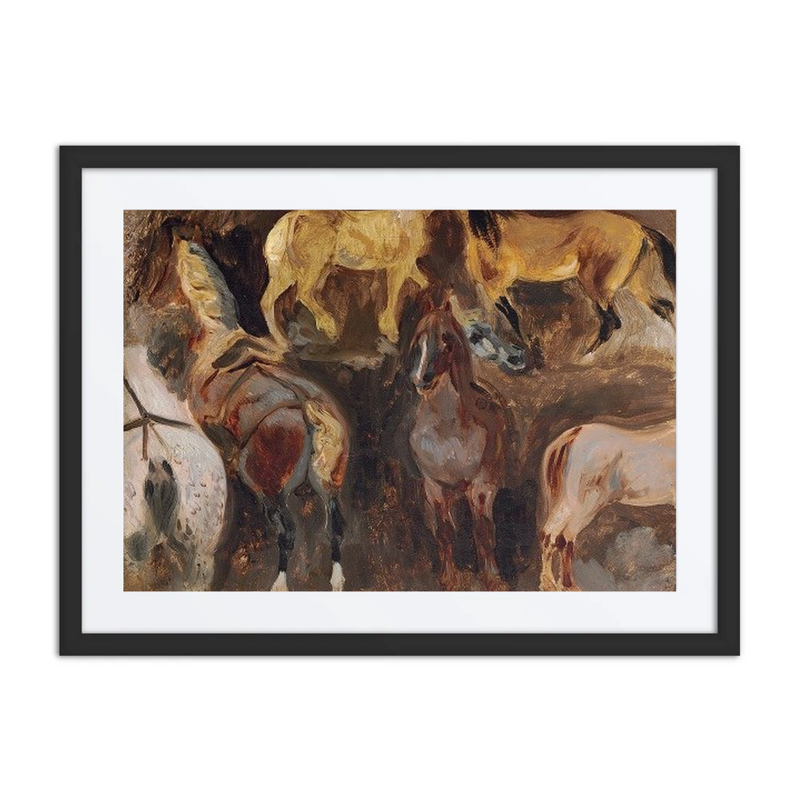 Study of Horses