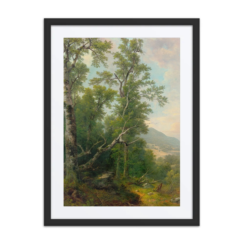 Study of Trees