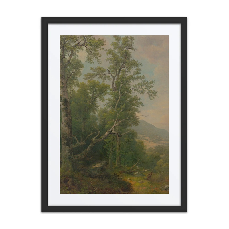 Study of Trees