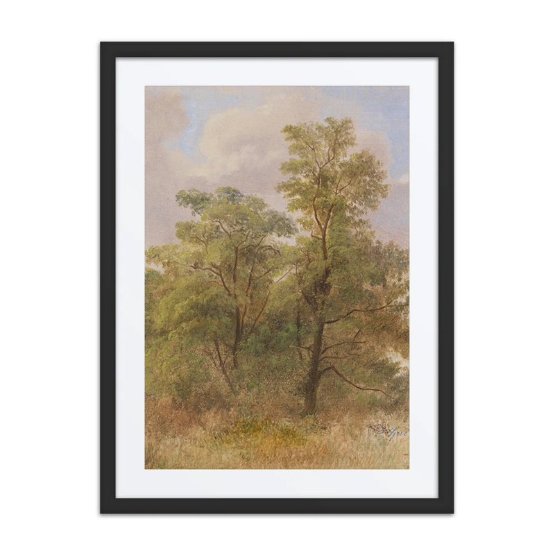 Study of Trees