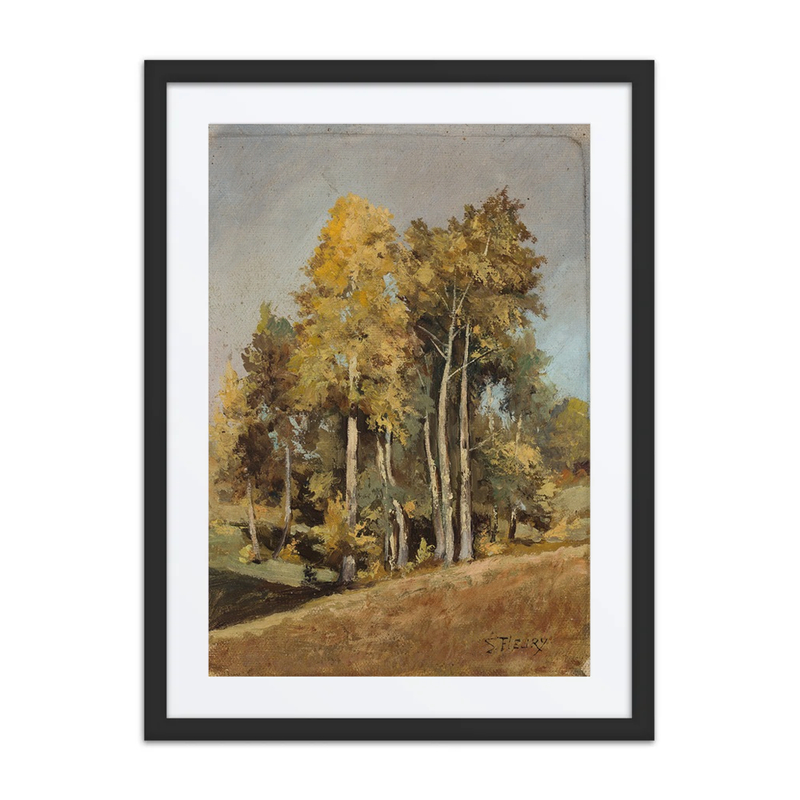 Study of Trees