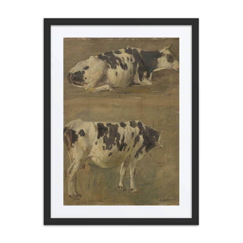 Study of Two Cows