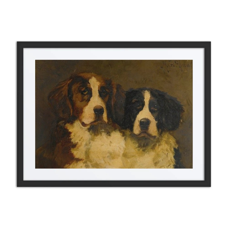 Study of Two St. Bernards