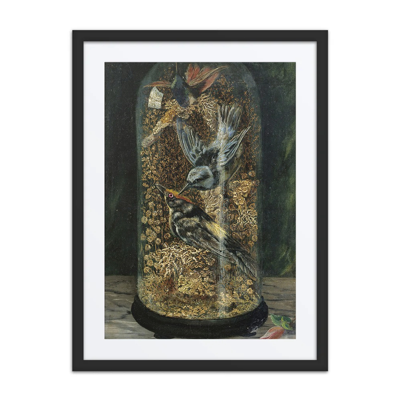 Stuffed Birds in a Dome