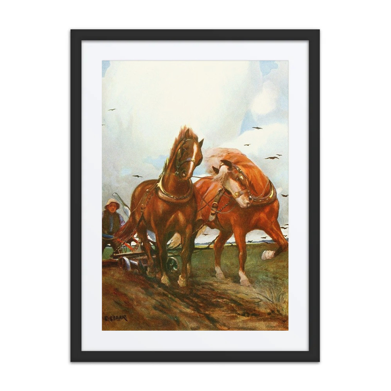 Suffolk Horses