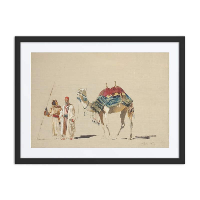 Sultan’s White Camel