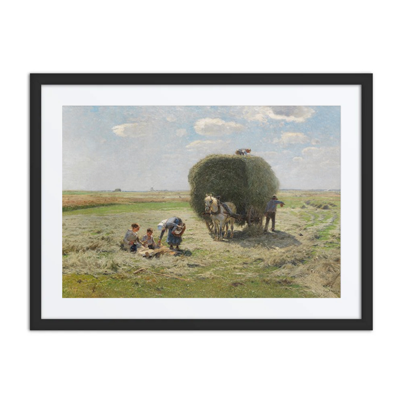 Summer Hay Harvest