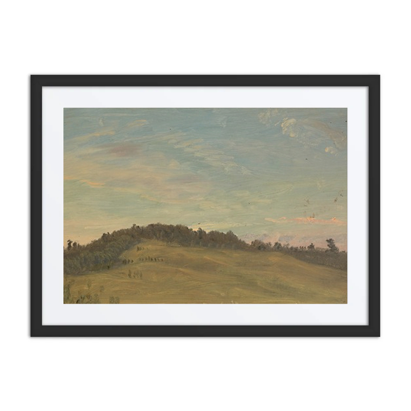 Summer Landscape