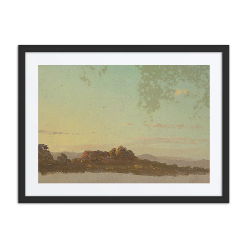 Summer Landscape