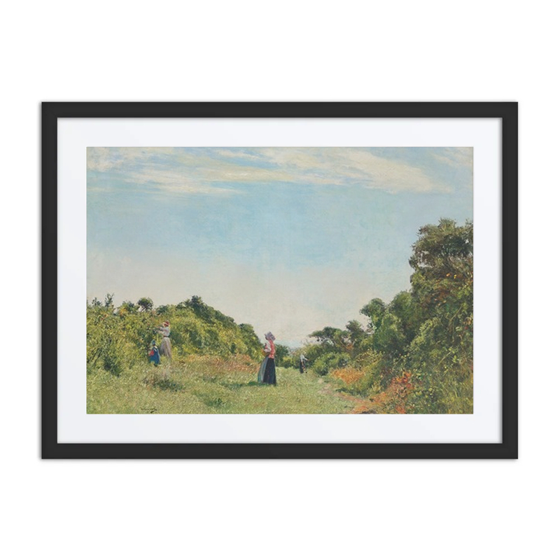 Summer Morning