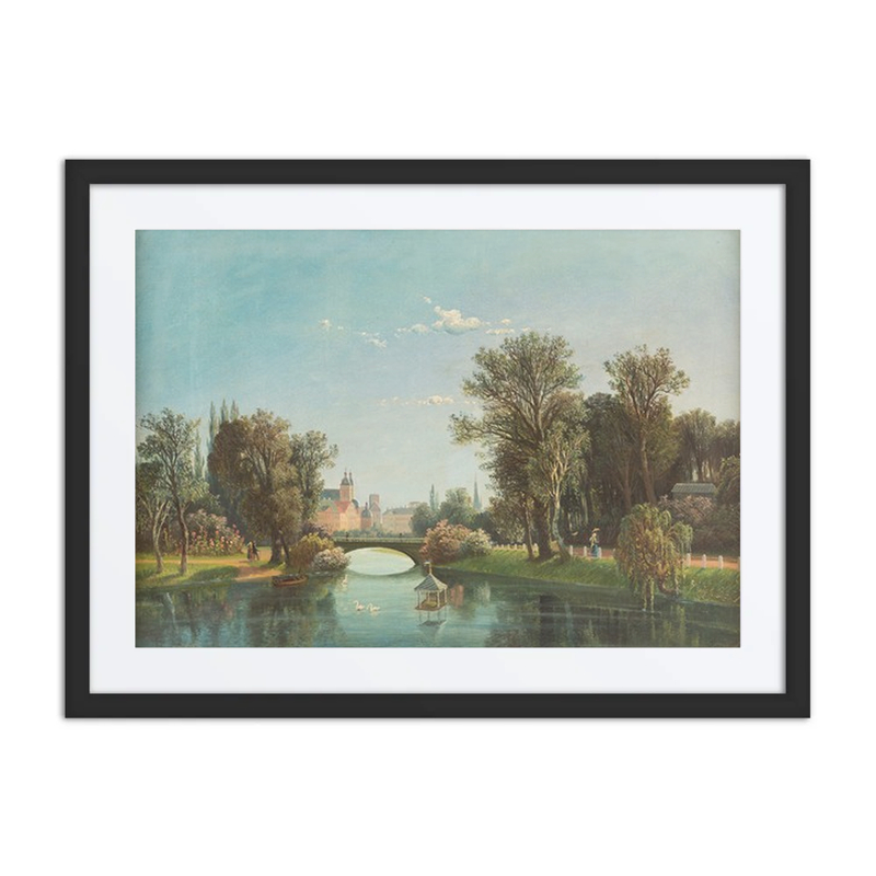 Summer Park Landscape