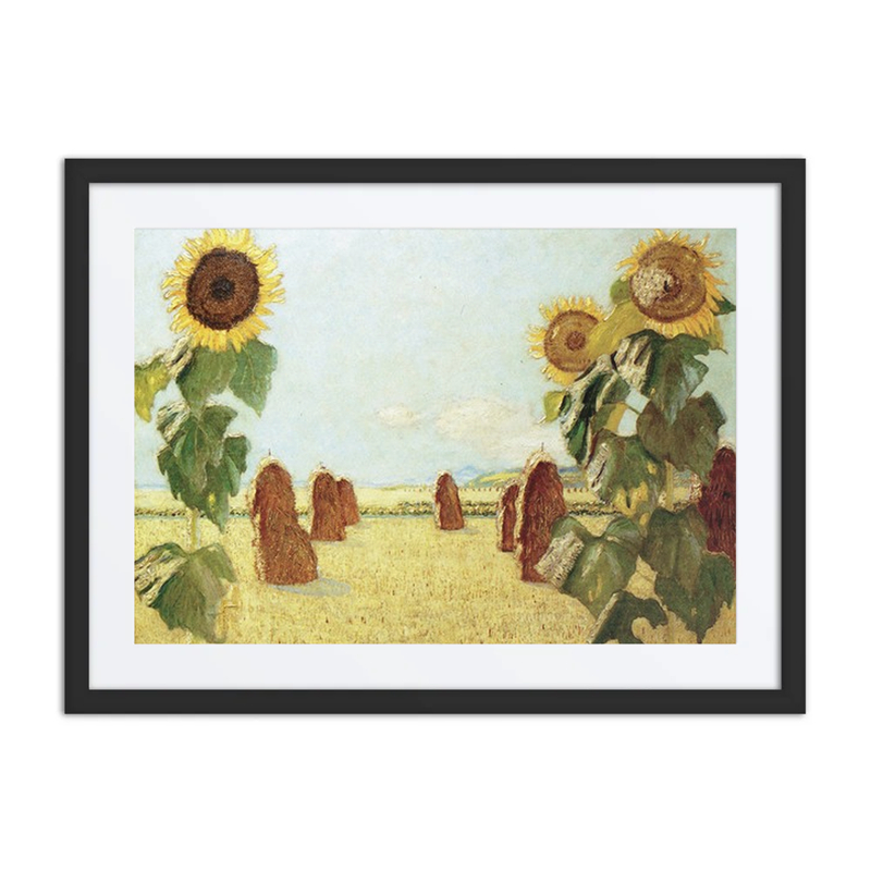 Sunflowers