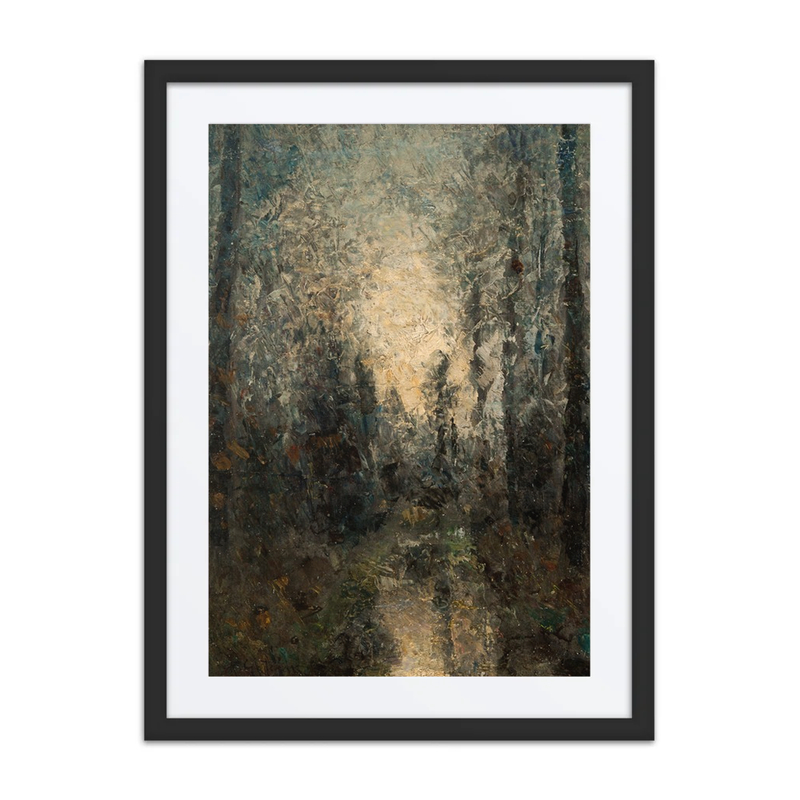 Sunlight Shimmering Through Trees