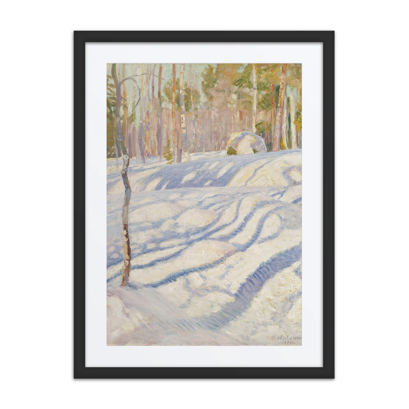 Sunlit Winter Landscape