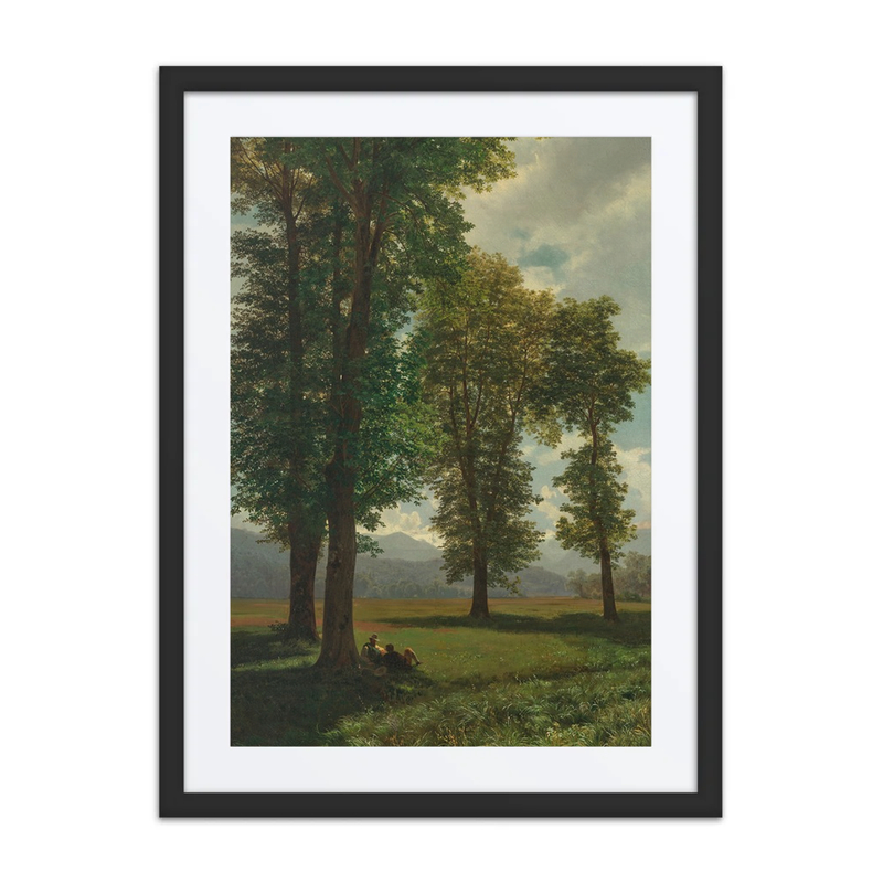 Sunny Meadow